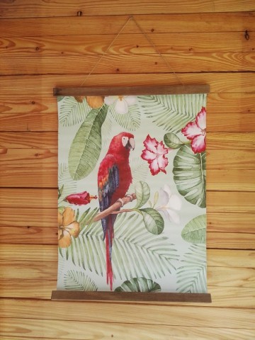 Buitendoek rode papegaai