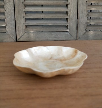 Goudkleurig amberschaaltje