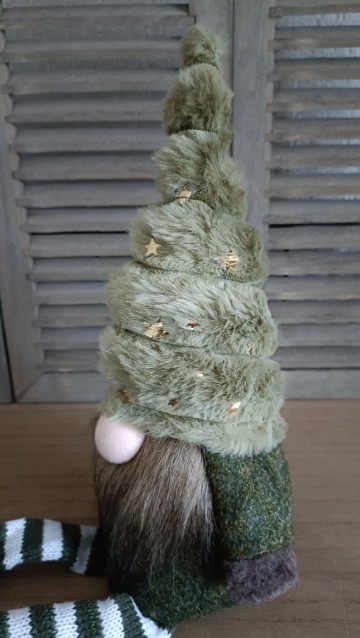 Groene gnoom met gestreepte beentjes opzij