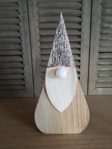 Sagi santa lightnose