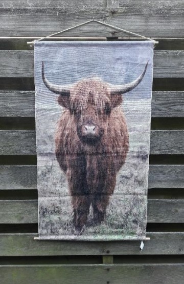 Schotse hooglander groot