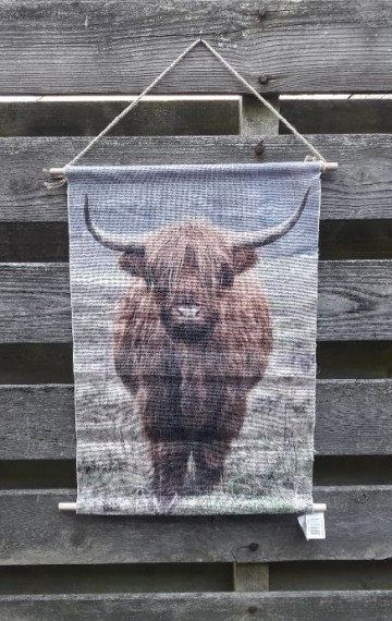 Schotse hooglander klein