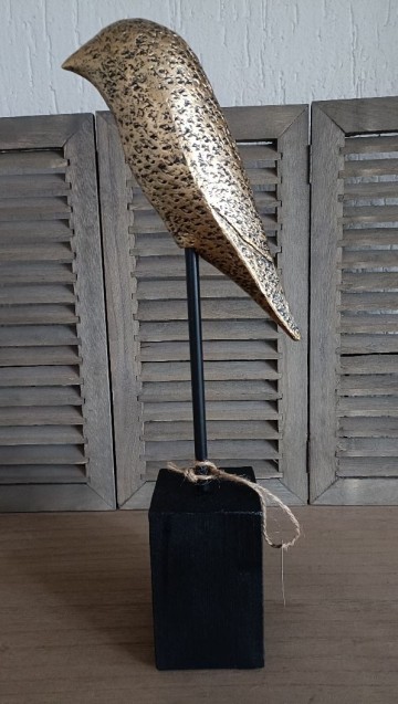 Vinci vogel op voet groot opzij